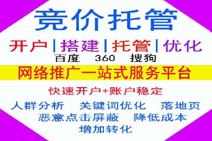 百度SEM竞价推广，案例解析转化率提升秘诀